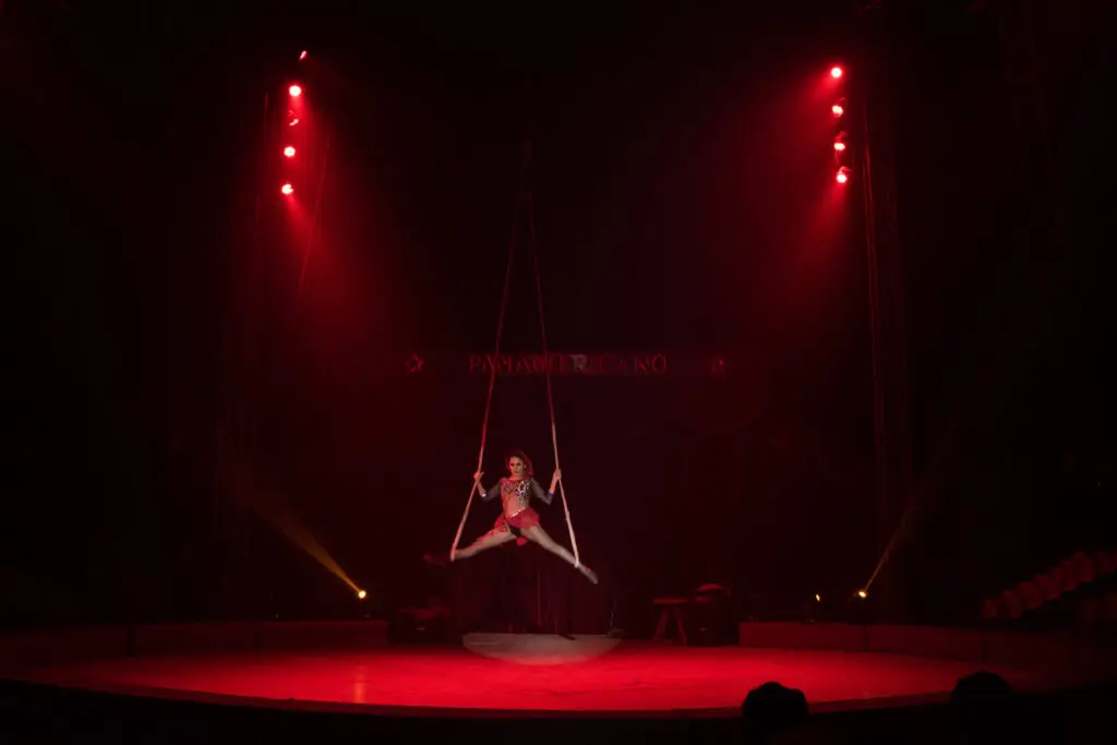 Evento - Espectáculo Circense
